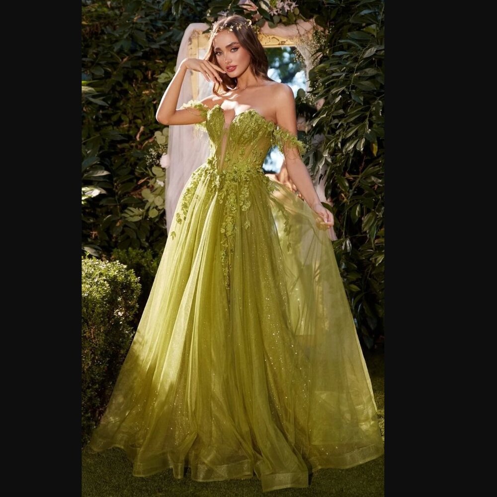 Off-Shoulder Prom Ball Gown: Andrea and Leo A1237